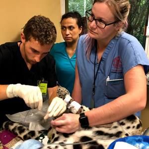 Meet your Posher, Summer